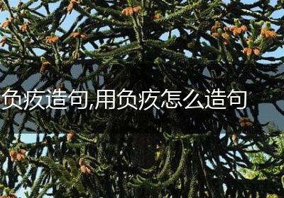 负疚造句,用负疚怎么造句