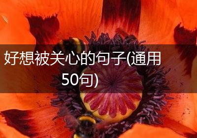 好想被关心的句子(通用50句)
