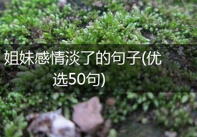 姐妹感情淡了的句子(优选50句)