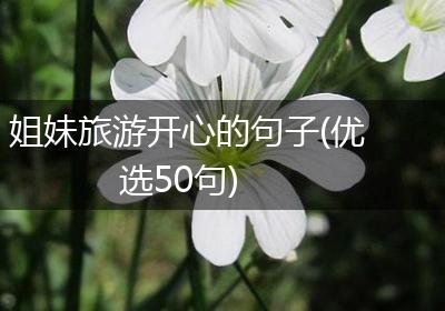 姐妹旅游开心的句子(优选50句)