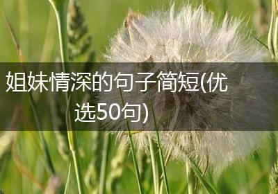 姐妹情深的句子简短(优选50句)