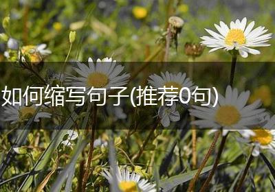 如何缩写句子(推荐0句)