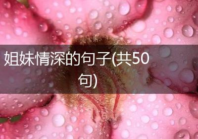 姐妹情深的句子(共50句)