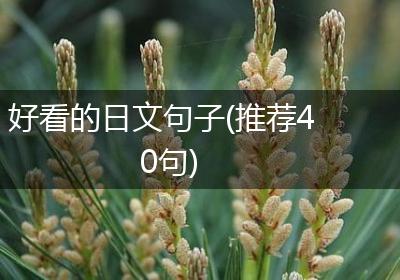 好看的日文句子(推荐40句)