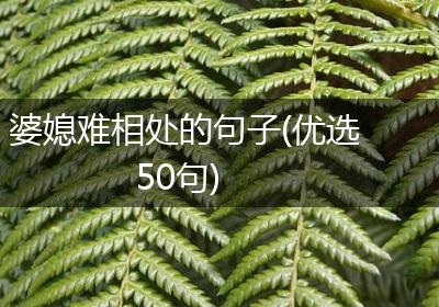 婆媳难相处的句子(优选50句)