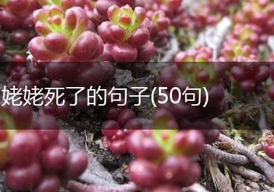 姥姥死了的句子(50句)