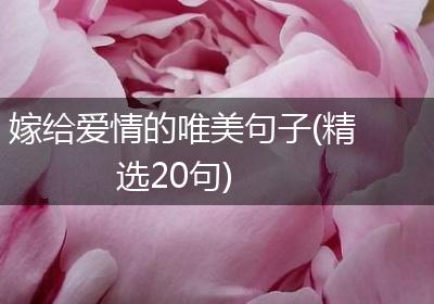 嫁给爱情的唯美句子(精选20句)