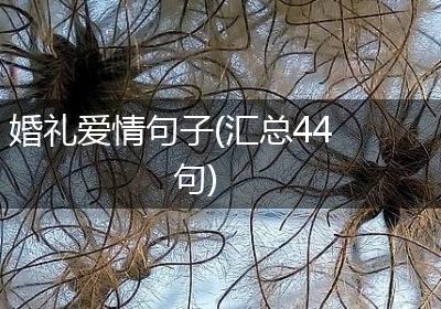 婚礼爱情句子(汇总44句)