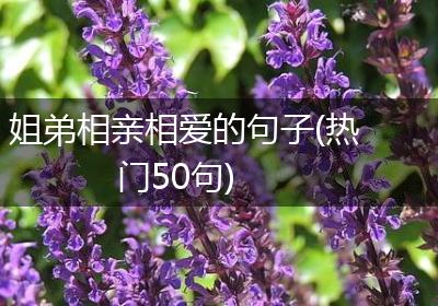 姐弟相亲相爱的句子(热门50句)