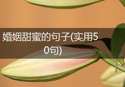 婚姻甜蜜的句子(实用50句)