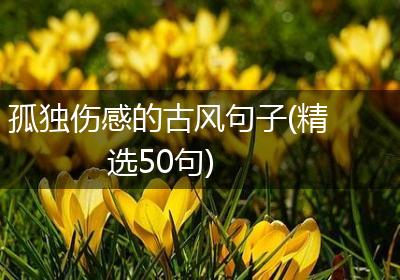 孤独伤感的古风句子(精选50句)