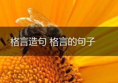 格言造句 格言的句子