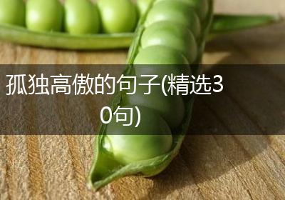 孤独高傲的句子(精选30句)