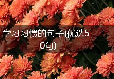 学习习惯的句子(优选50句)