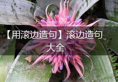 【用滚边造句】滚边造句大全