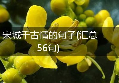 宋城千古情的句子(汇总56句)