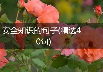 安全知识的句子(精选40句)