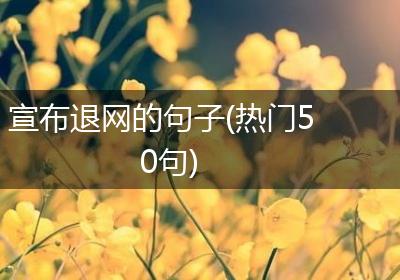 宣布退网的句子(热门50句)
