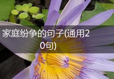 家庭纷争的句子(通用20句)