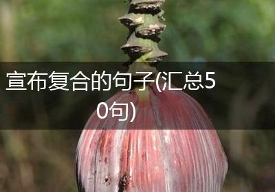 宣布复合的句子(汇总50句)