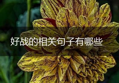 好战的相关句子有哪些
