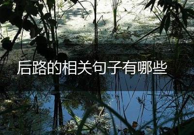 后路的相关句子有哪些