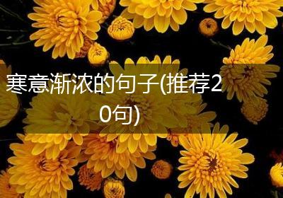 寒意渐浓的句子(推荐20句)