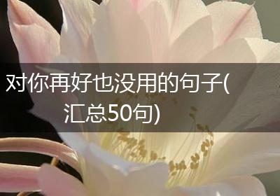 对你再好也没用的句子(汇总50句)