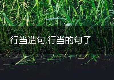 行当造句,行当的句子