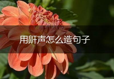 用鼾声怎么造句子