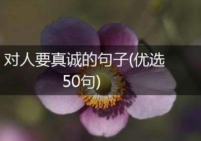 对人要真诚的句子(优选50句)