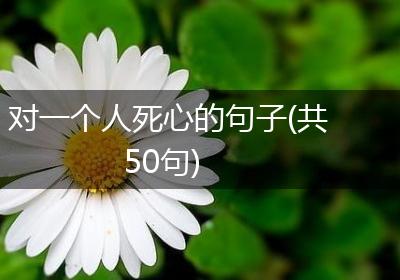 对一个人死心的句子(共50句)