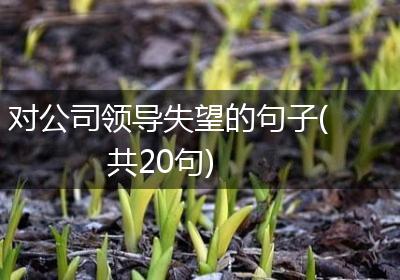 对公司领导失望的句子(共20句)