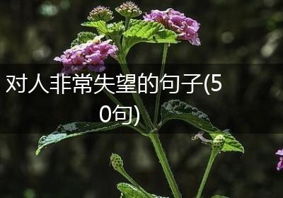 对人非常失望的句子(50句)
