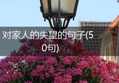 对家人的失望的句子(50句)