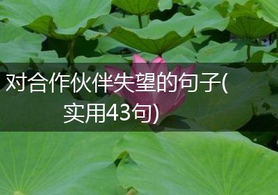 对合作伙伴失望的句子(实用43句)