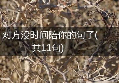 对方没时间陪你的句子(共11句)