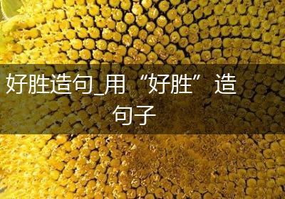 好胜造句_用“好胜”造句子