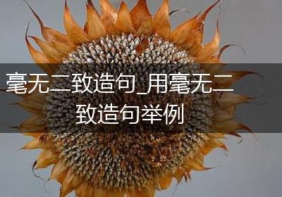 毫无二致造句_用毫无二致造句举例