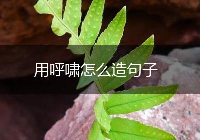 用呼啸怎么造句子