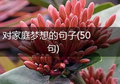 对家庭梦想的句子(50句)