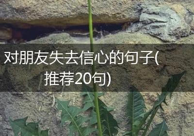 对朋友失去信心的句子(推荐20句)