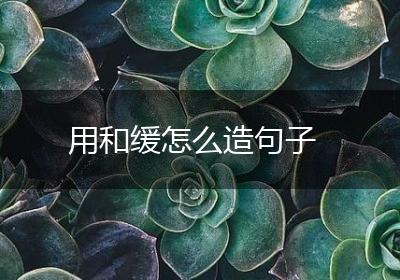 用和缓怎么造句子