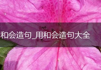 和会造句_用和会造句大全