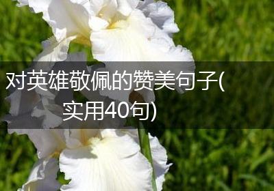 对英雄敬佩的赞美句子(实用40句)