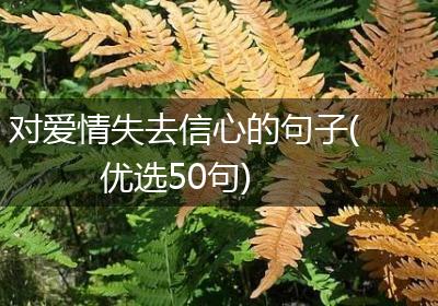 对爱情失去信心的句子(优选50句)