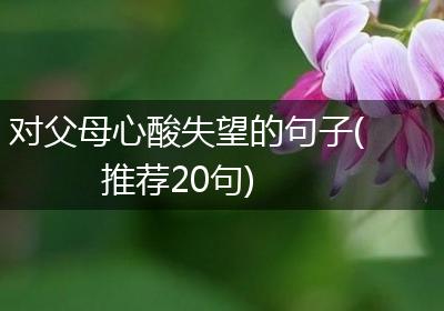 对父母心酸失望的句子(推荐20句)