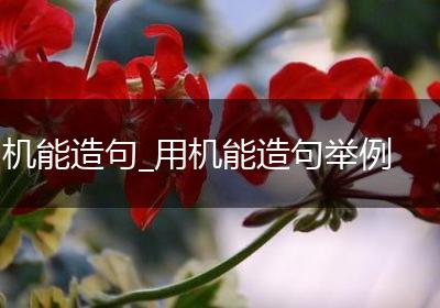 机能造句_用机能造句举例