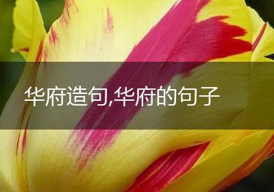华府造句,华府的句子