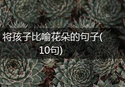 将孩子比喻花朵的句子(10句)